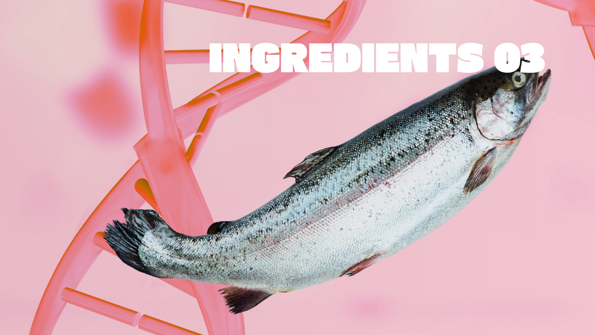 INGREDIENTS: Pdrn
